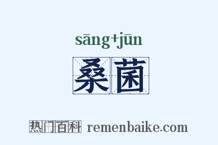 桑菌是什么意思的图片